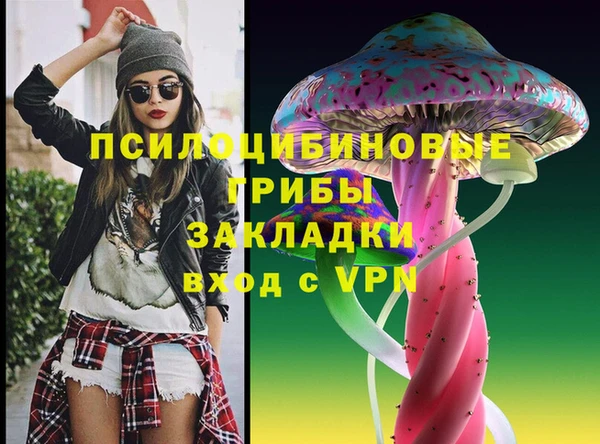 бошки Армянск